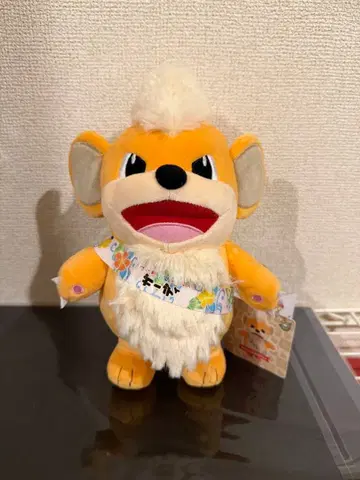 포켓몬 물산전 가디 로컬 Acts