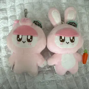 SEVENTEEN 봉봉이 봉제 인형 토끼 돼지