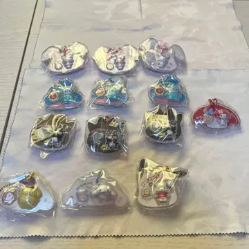 산리오 캐릭터즈 패키지 참 & 초코 보로