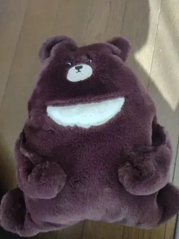 곰 봉제 인형 in 담요