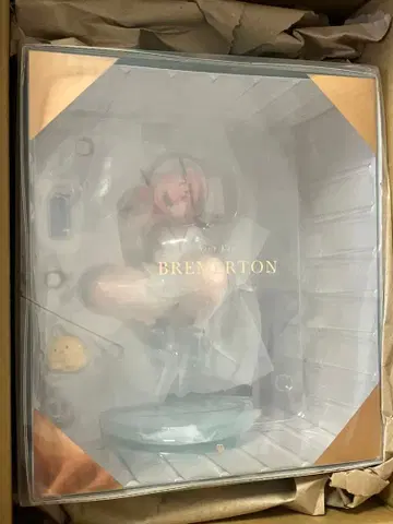 미개봉품 브레마튼 열열 트레이닝 TF edition