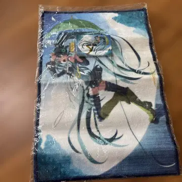 하츠네 미쿠 매트