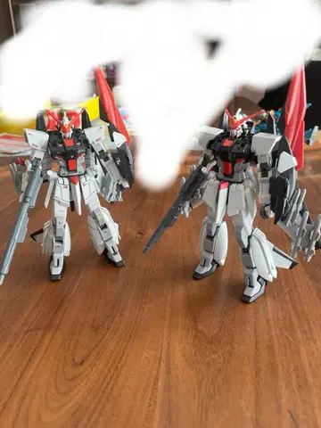 HG(하이그레이드) 로봇 모델 2체 세트