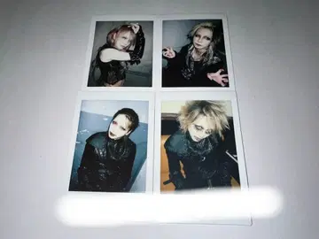 JILUKA Ricko Zyean Sena 폴라로이드