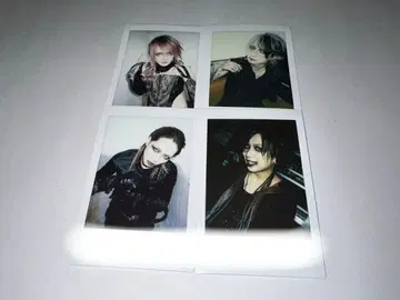 JILUKA Ricko Zyean Sena 폴라로이드