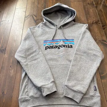 파타고니아 후드티