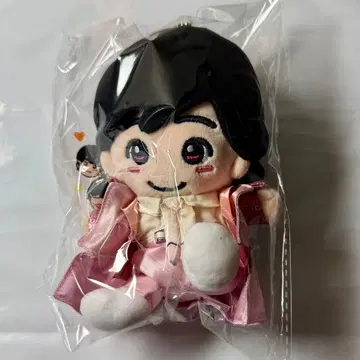 미치에다 슌스케 치비 누이