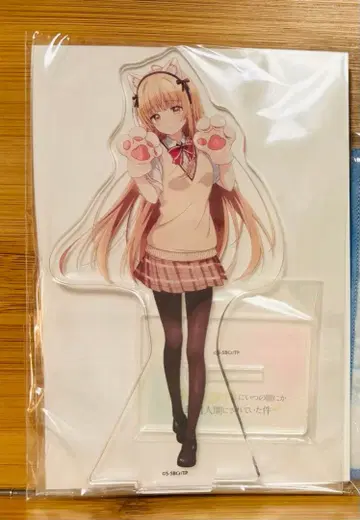 옆집 천사님 아크릴 스탠드 캔뱃지 시이나 마히루 애니메이트 한정 세트