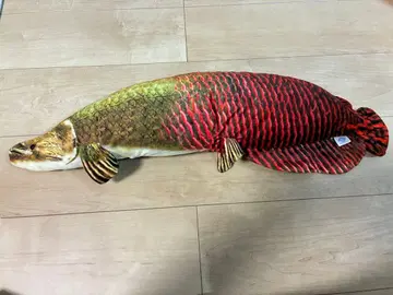 사카나 군 프로듀스 물고기 모양 봉제 인형 피라루크