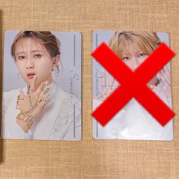 캐터리아 네일씰 소말리 모치다 유키