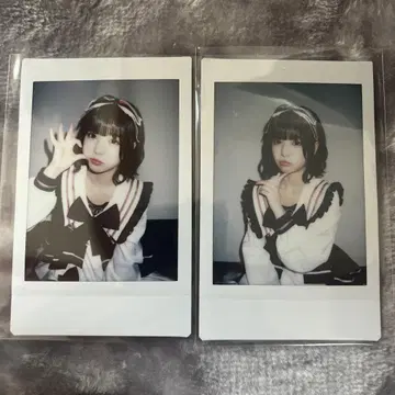 아이스 7월 란 폴라로이드