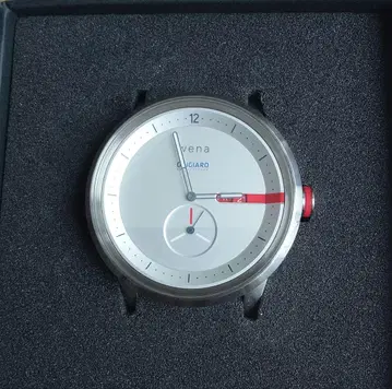 wena3 정품 헤드 Giugiaro 지우지아로 실버