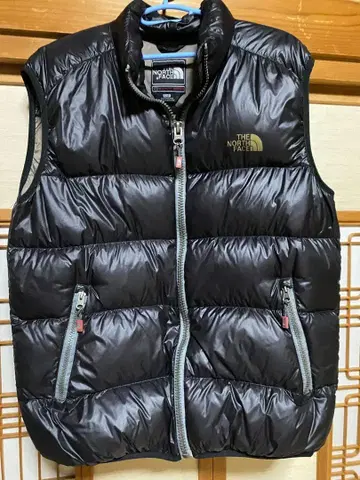 THE NORTH FACE SUMMIT SERIES 다운 베스트