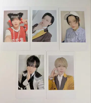 하피카 ReLit 5장 세트