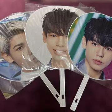 [ SnowMan ] 라울 부채 2D2D 2019 Island fes