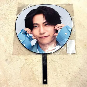 timelesz 하시모토 쇼세이 돔 투어 fam 부채