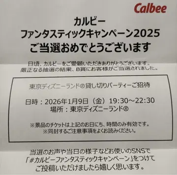 도쿄 디즈니랜드 대관 2명