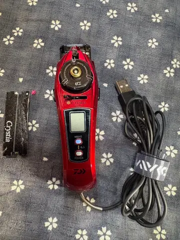 크리스티아 와카사기 air 레드