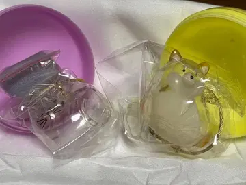 페테모 강아지 털뭉치 시바견 우리 아이 털뭉치 고등어태비