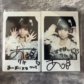 아이스 폴라로이드