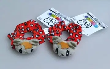 제고양이 GENERATIONS 스크런치 시라하마 아란 2세트