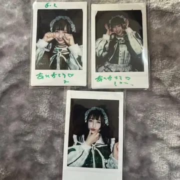 와카바노아 폴라로이드