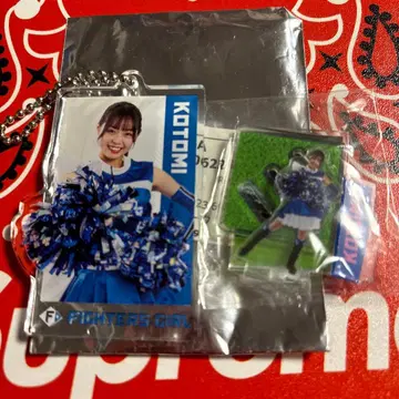 타케시치 코토미 파이터즈걸 아크릴 스탠드 키링 레어 졸업