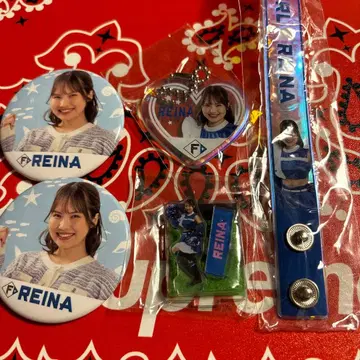 야마구치 레이나 파이터즈걸 캔뱃지 키링 아크릴 스탠드 6종