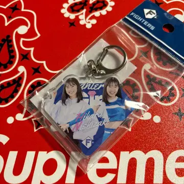 니시자키 히카루 아크릴 키링 파이터즈걸 2023