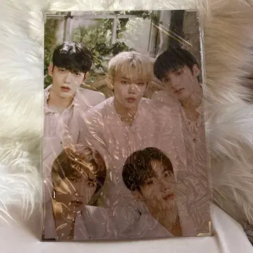 TXT ACT:LOVESICK 프리미엄 사진 패널