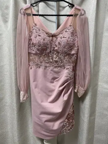 핑크 자수 시스루 소매 드레스