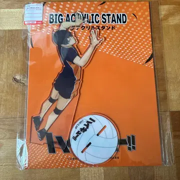 하이큐!! 아크릴 스탠드 히나타 카게야마 세트