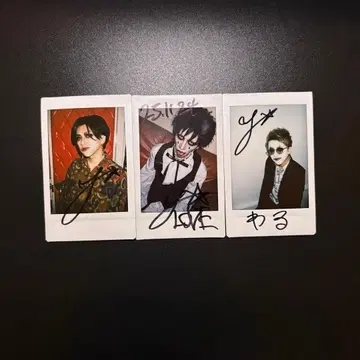 부엉이 FUKURO 밴딩 요시아츠 폴라로이드 3장 세트