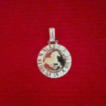 츠바루 호스 코인 1/25 펜던트 탑