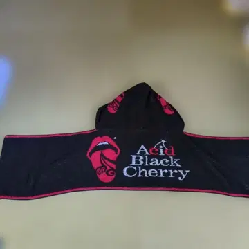Acid Black Cherry 후드 부착 타월