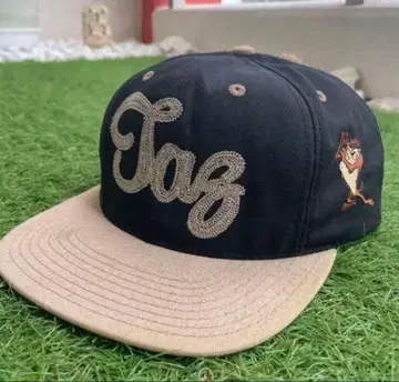 Taz 자수 야구 모자 블랙/베이지