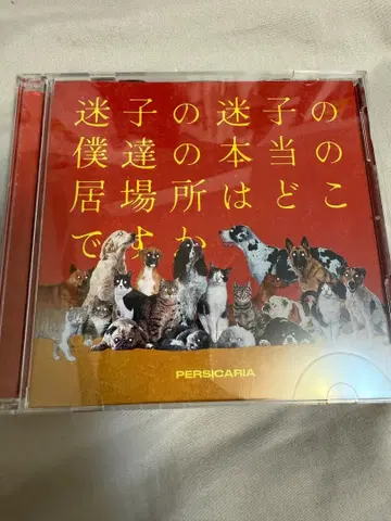 페르시카리아 / 길 잃은 길 잃은 우리들의 진짜 장소는 어디인가요