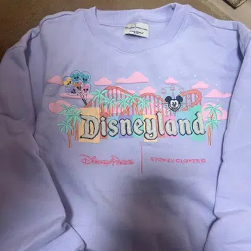 Disneyland Stoney Clover 맨투맨 XS