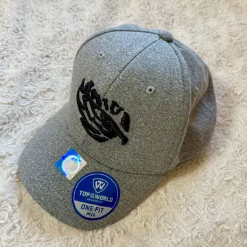 TOP OF THE WORLD LSU 캡 그레이