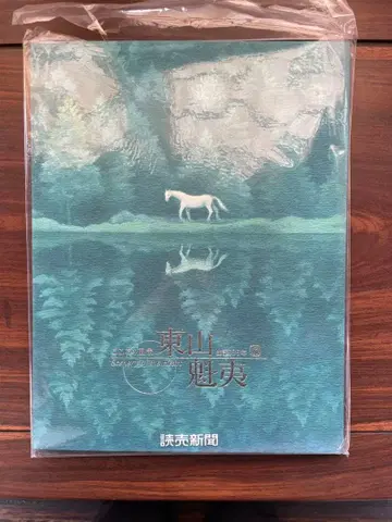 히가시야마 카이이 마음의 풍경 탄생 100주년