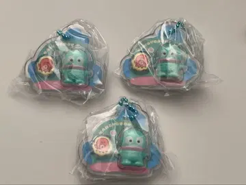 산리오 패키지 참 한교동 묶음 판매