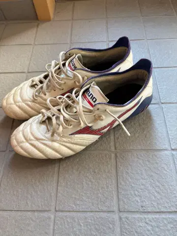 모렐리아 네오 3 JAPAN 도쿄 올림픽 한정 컬러