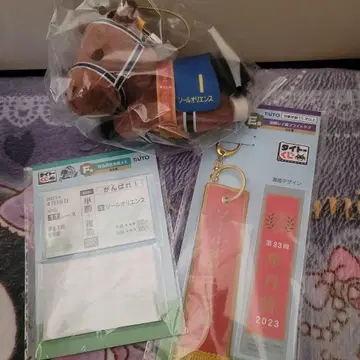 다이토 복권 호스 히어로즈 밑창 오리엔스 세트