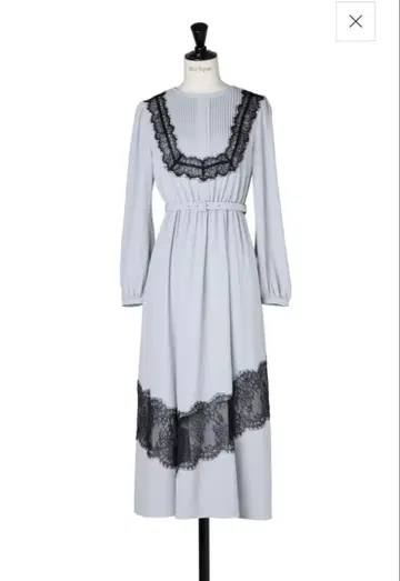 Her lip to Rosaline Lace Trimmed Dress