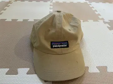 patagonia 베이지 캡