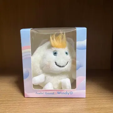 후지이 카제 윈디쨩