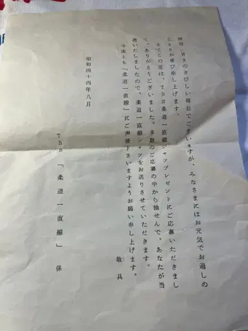 유도 일직선 현상 T셔츠