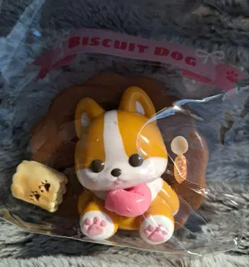 개 코기 스퀴즈