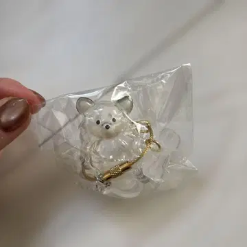 치와와 우리 아이의 털뭉치 가챠가챠