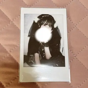 iLiFE 후쿠마루 우사 란체키